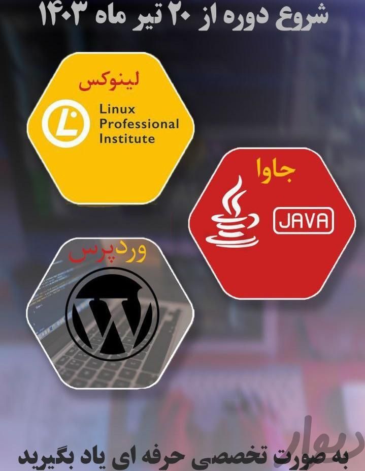 آموزش تخصصی برنامه نویسی و نرم افزار	