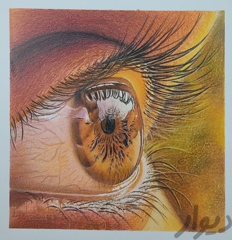 آموزش نقاشی و طراحی از مبتدی تاپیشرفته	